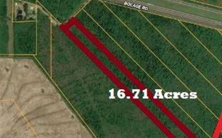 Pictures of Land property located at 0 TBD Dogwood Road, Other City, LA 70531 for sales - image #1