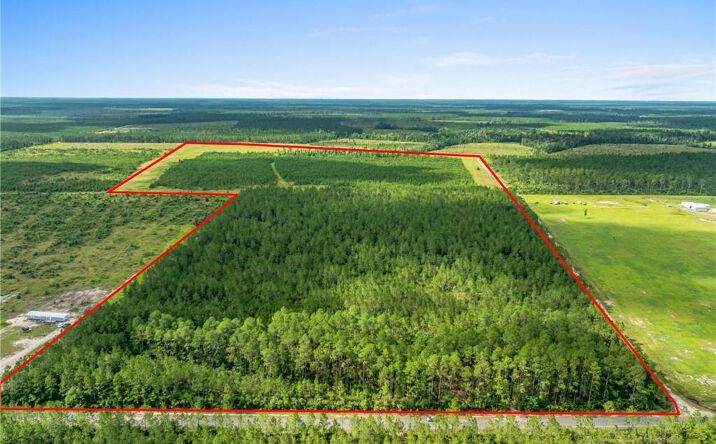 Pictures of Land, Special Purpose property located at 0 Rea Road, DeRidder, LA 70634 for sales - image #1