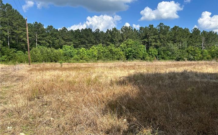 Pictures of Land property located at 800 Hauser Road, DeRidder, LA 70634 for sales - image #1