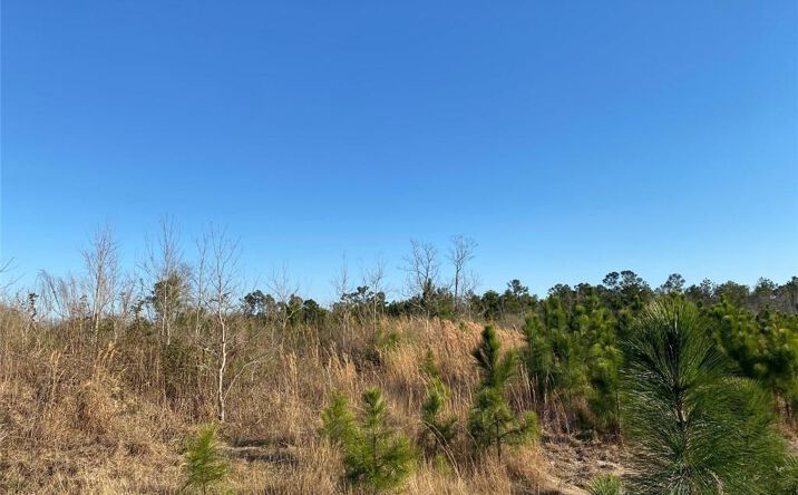 Pictures of Land property located at 0 College Heights, Lake Charles, LA 70605 for sales - image #1