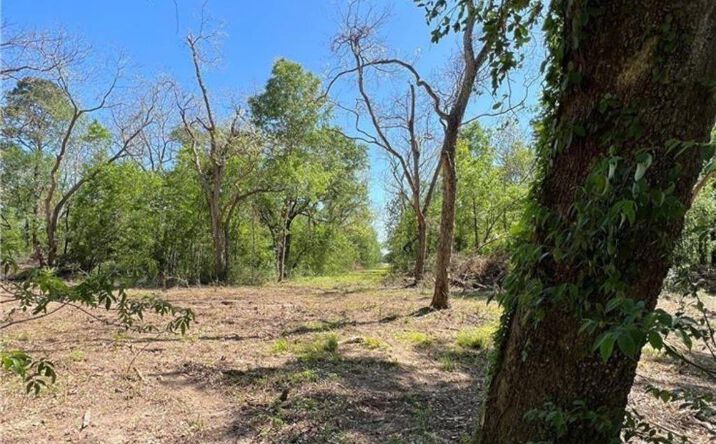 Pictures of Land property located at 5010 Wilbert D Rochelle Avenue, Jennings, LA 70546 for sales - image #1