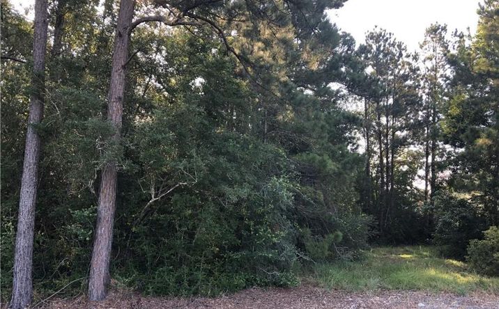 Pictures of Land property located at 0 Sutherland Road, Lake Charles, LA 70611 for sales - image #1