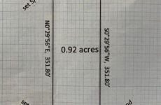 25546604