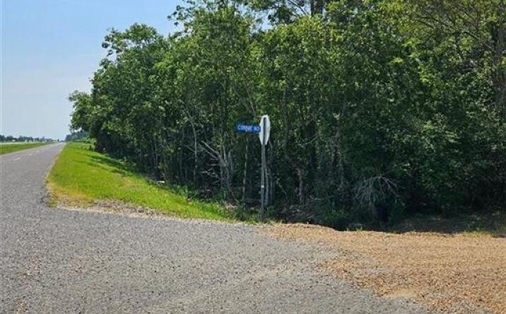 Pictures of Land property located at 0 I-10 Frontage Road, Welsh, LA 70591 for sales - image #1