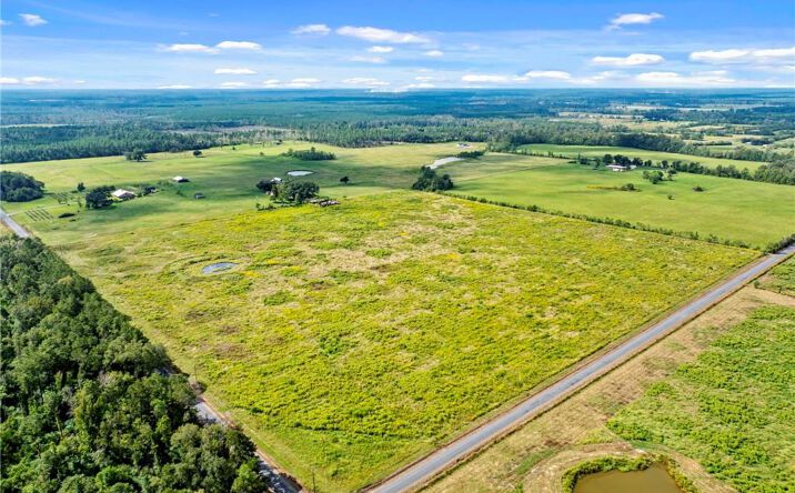Pictures of Land property located at 0 Hauser Road, DeRidder, LA 70652 for sales - image #1