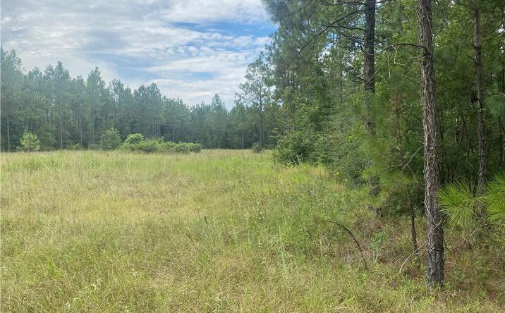 Pictures of Land property located at 0 Hwy 27 Highway S, Dequincy, LA 70633 for sales - image #1