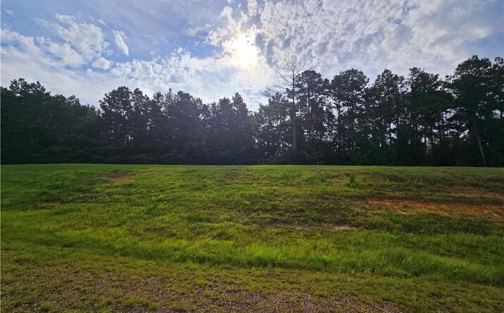 Pictures of Land property located at 0 S Pine Street, DeRidder, LA 70634 for sales - image #1