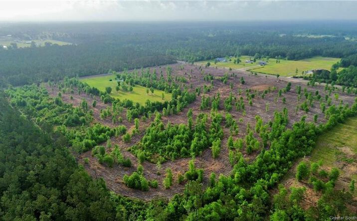 Pictures of Land property located at 3 Route 66 Road, Dequincy, LA 70633 for sales - image #1