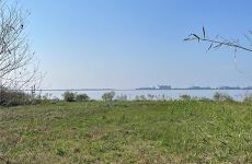 25547271