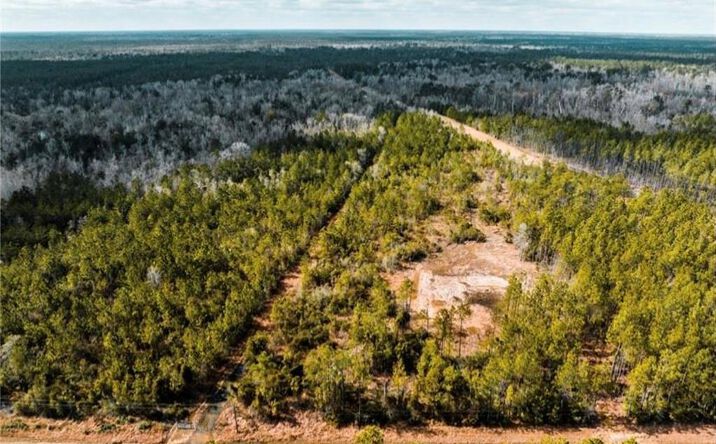 Pictures of Land, Multifamily, Special Purpose property located at 1150 Alston Cemetery Road, Ragley, LA 70657 for sales - image #1