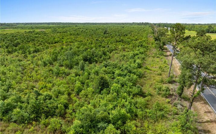 Pictures of Land property located at 2 Abie Fontenot Road, Iowa, LA 70647 for sales - image #1