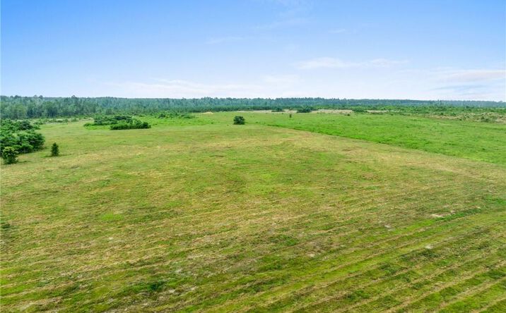 Pictures of Land property located at Whittington Road Tract 1, Longville, LA 70652 for sales - image #1