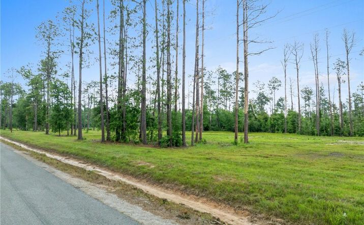 Pictures of Land property located at 0 Lonnie Cole Road #Tract 9 Tract 9, Ragley, LA 70657 for sales - image #1