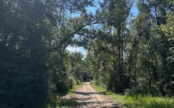 Pictures of Land property located at 0 Buck Holland Road #TBD TBD, Ragley, LA 70657 for sales - image #1