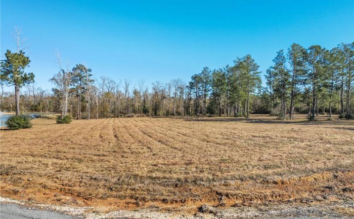 Pictures of Land property located at 0 John Paul Moore Road, Sulphur, LA 70663 for sales - image #1