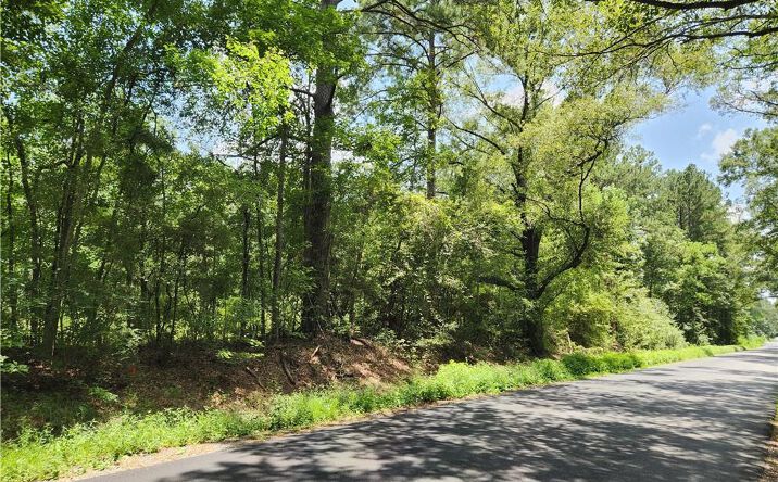 Pictures of Land, Special Purpose property located at 0 Parish Line Road #TBD TBD, DeRidder, LA 70634 for sales - image #1