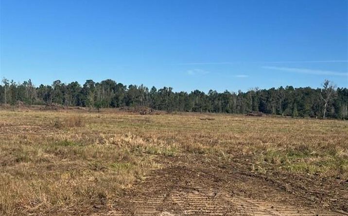 Pictures of Land property located at 0 Conway Rosteet Road, Longville, LA 70652 for sales - image #1
