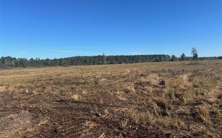Pictures of Land property located at 0 Conway Rosteet Road, Longville, LA 70652 for sales - image #1