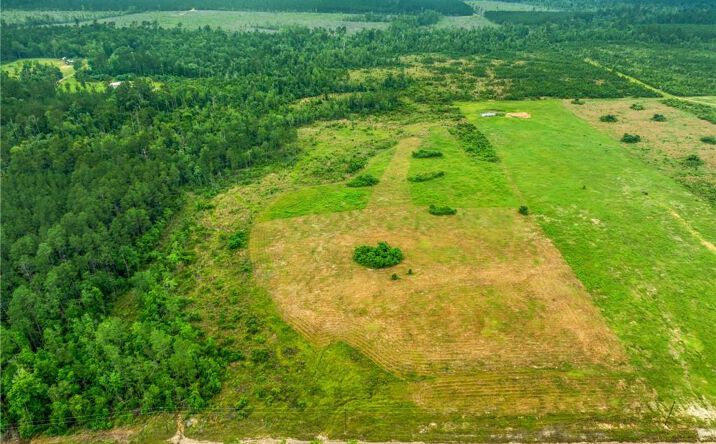 Pictures of Land property located at Whittington Road 1 & 2, Longville, LA 70652 for sales - image #1