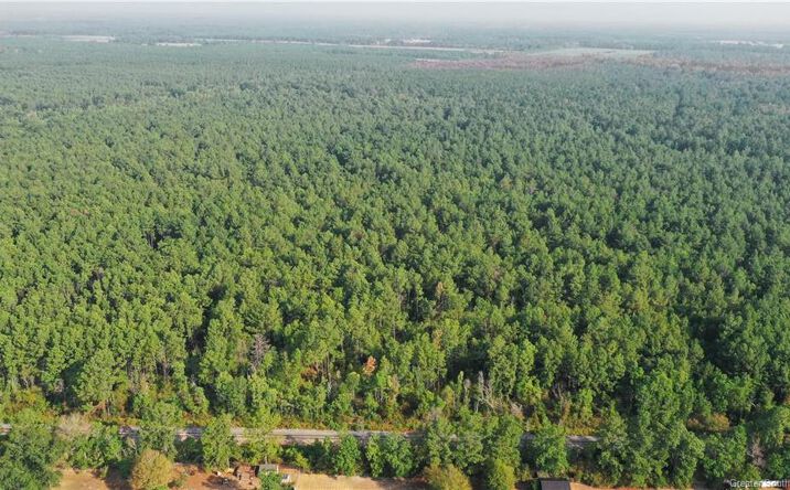 Pictures of Land, Industrial, Multifamily, Special Purpose property located at Planer Mill Road, DeRidder, LA 70634 for sales - image #1