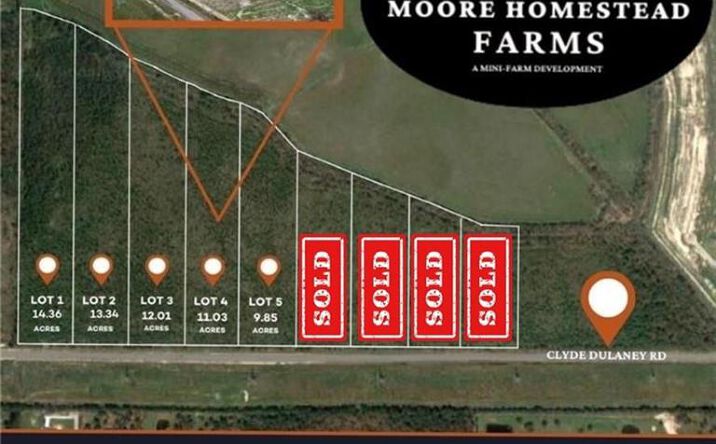 Pictures of Land property located at 0 Clyde Dulaney Road, Lake Charles, LA 70611 for sales - image #1
