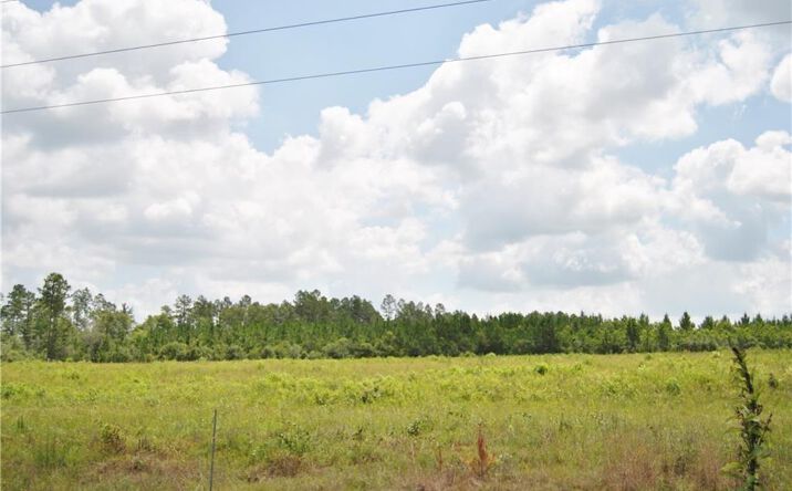 Pictures of Land property located at 0 Highway 171 Highway, Longville, LA 70652 for sales - image #1
