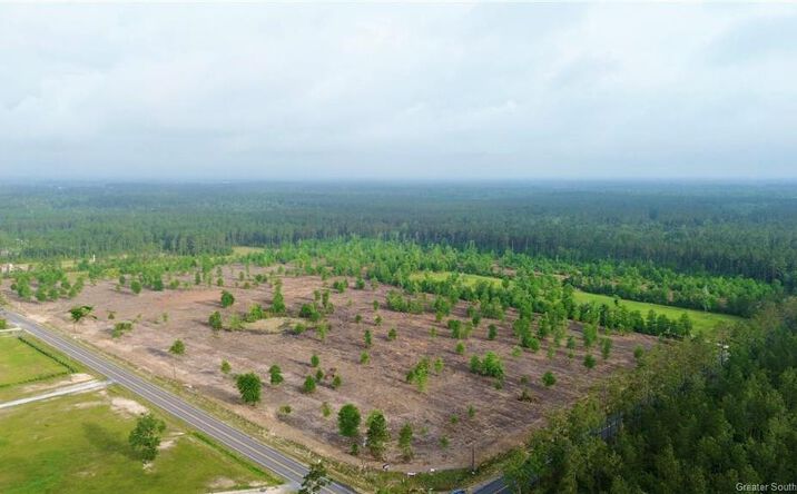 Pictures of Land property located at 2 Route 66 Road, Dequincy, LA 70633 for sales - image #1