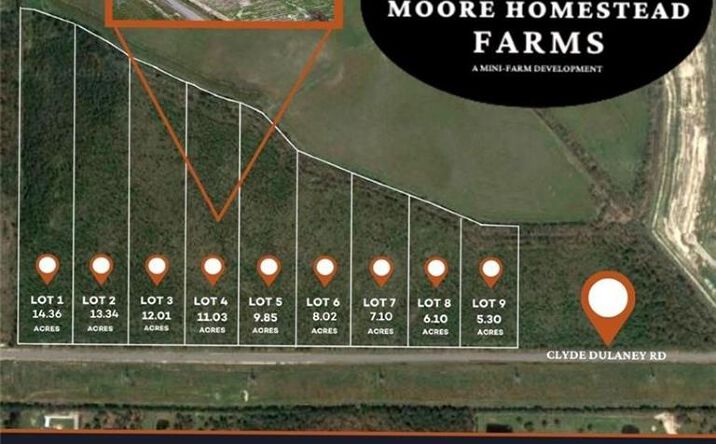 Pictures of Land property located at Clyde Dulaney Road, Lake Charles, LA 70611 for sales - image #1