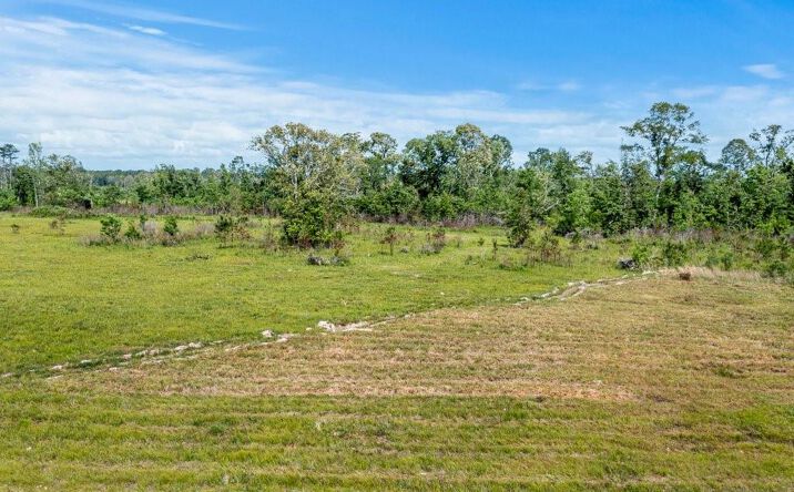 Pictures of Land property located at Highway 113 Highway, Reeves, LA 70658 for sales - image #1