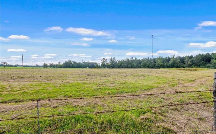 Pictures of Land property located at 0 Highway 171 Highway, Longville, LA 70652 for sales - image #1