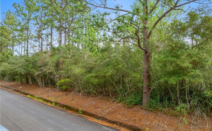 Pictures of Land property located at 0 N Park Lane, Lake Charles, LA 70611 for sales - image #1