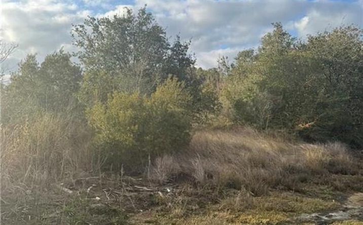 Pictures of Land property located at 7343 Olsen Road, Sulphur, LA 70665 for sales - image #1