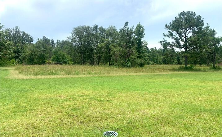 Pictures of Land property located at Ridgeway Drive, Ragley, LA 70657 for sales - image #1