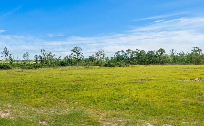 Pictures of Land property located at Highway 113 Highway, Reeves, LA 70658 for sales - image #1