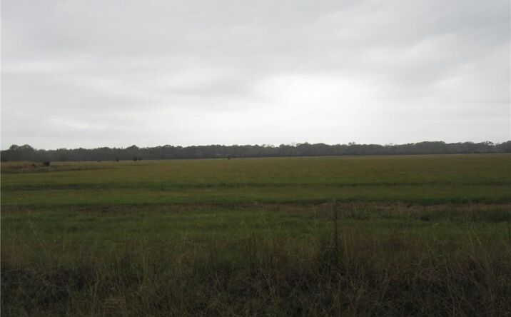 Pictures of Land property located at Birdnest Road, Lake Charles, LA 70611 for sales - image #1