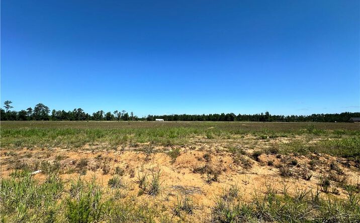 Pictures of Land property located at 0 Canna Lily Drive, Ragley, LA 70657 for sales - image #1