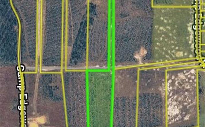 Pictures of Land property located at Camp Edgewood Road, Dequincy, LA 70633 for sales - image #1