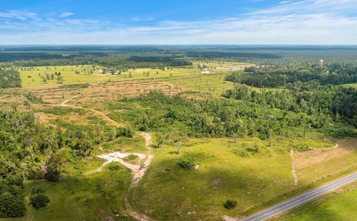 Pictures of Land property located at Highway 113 Highway, Reeves, LA 70658 for sales - image #1
