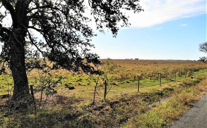 Pictures of Land property located at Blanchard Road, Welsh, LA 70591 for sales - image #1