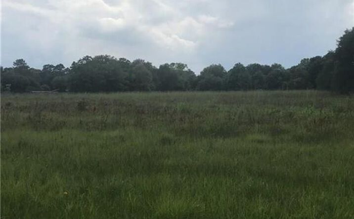 Pictures of Land property located at 3039 N Hwy 171 Highway, Lake Charles, LA 70611 for sales - image #1