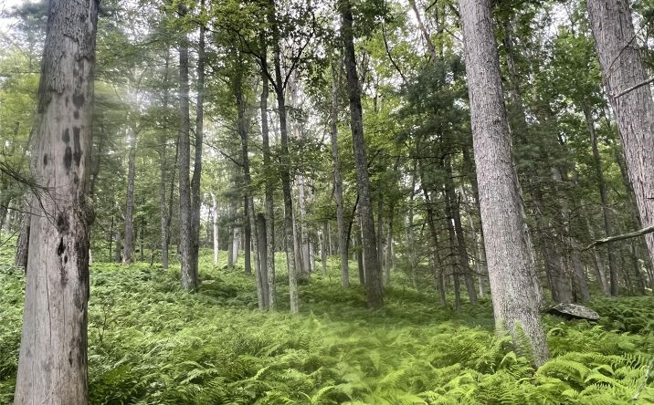 Pictures of Land property located at 259 Lackawaxen Road, Tusten, NY 12764 for sales - image #1