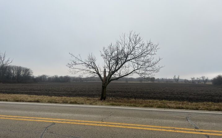Pictures of Land property located at 70 acres Galligan Road, Gilberts, IL 60136 for sales - image #1