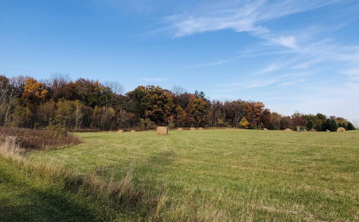 Pictures of Land property located at 3114 Millstream (Lot 1) Road, Marengo, IL 60152 for sales - image #1