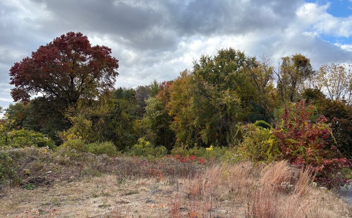 Pictures of Land property located at 24 Dumaine St., Wilbraham, MA 01095 for sales - image #1