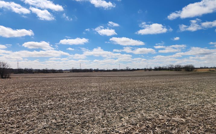 Pictures of Land property located at Nacke Road, Crete, IL 60417 for sales - image #1