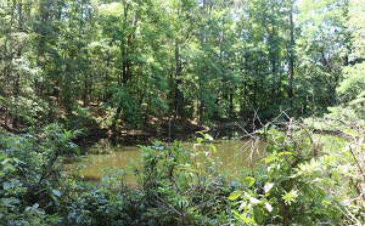 Pictures of Land, Special Purpose property located at Lot C Camp Creek Road, Lancaster, SC 29720 for sales - image #1