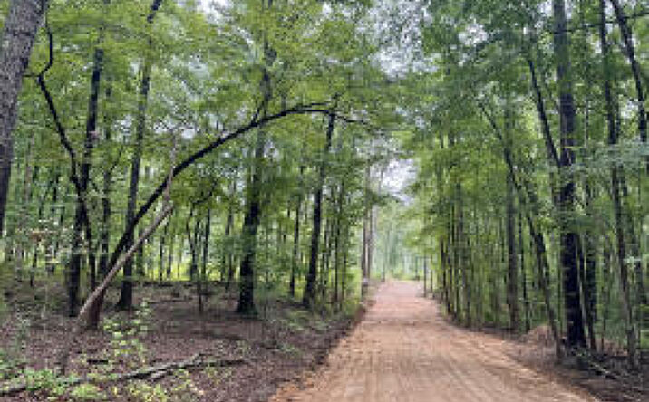 Pictures of Land, Special Purpose property located at Lot B Camp Creek Road, Lancaster, SC 29720 for sales - image #1
