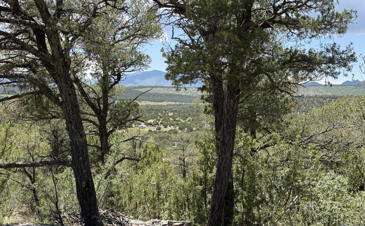 Pictures of Land property located at 44 forest rd 321, Estancia, NM 87106 for sales - image #1