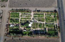 25722048