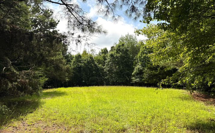 Pictures of Land property located at 00 Old Hwy 69 & Hog Creek Rd, Sugar Tree, TN 38380 for sales - image #1